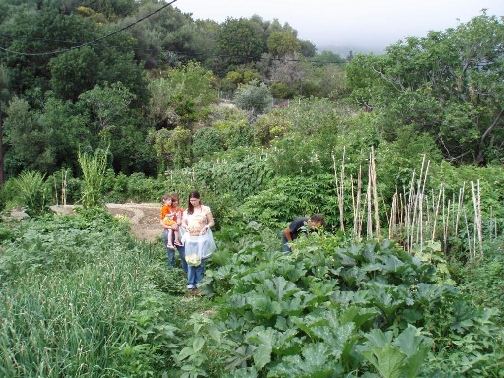 Marinos Studios At Lourdata Village ภายนอก รูปภาพ